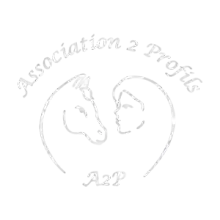 Association 2 Profils